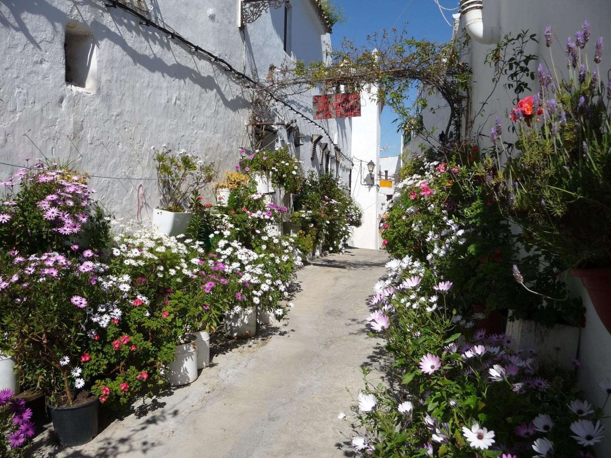 Vivienda Turistica De Alojamiento Rural Silla Vieja Vejer de la Frontera Buitenkant foto