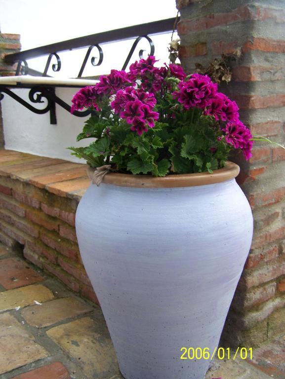 Vivienda Turistica De Alojamiento Rural Silla Vieja Vejer de la Frontera Buitenkant foto